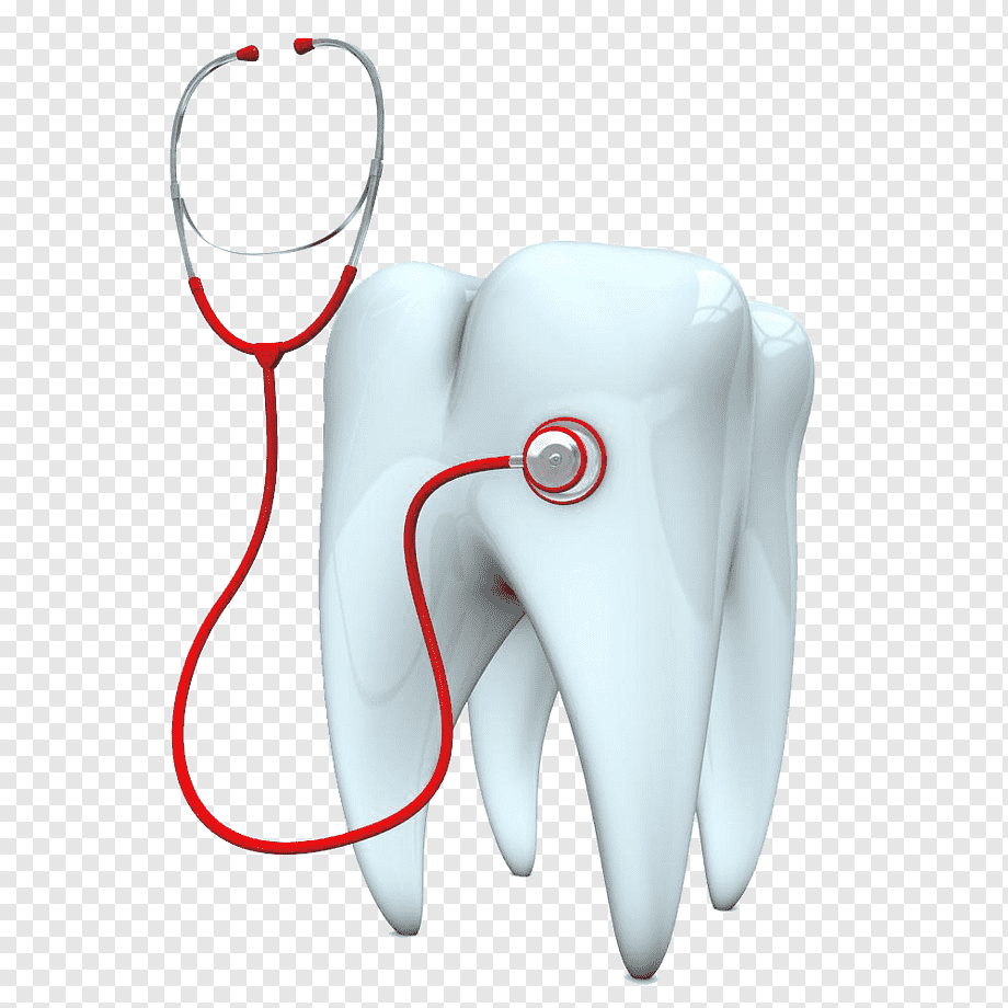 A white molar tooth with a red stethoscope placed on it, symbolizing dental health checkup and oral care.