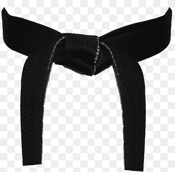 Black Belt in Martial Arts - Symbol of Mastery and Dedication