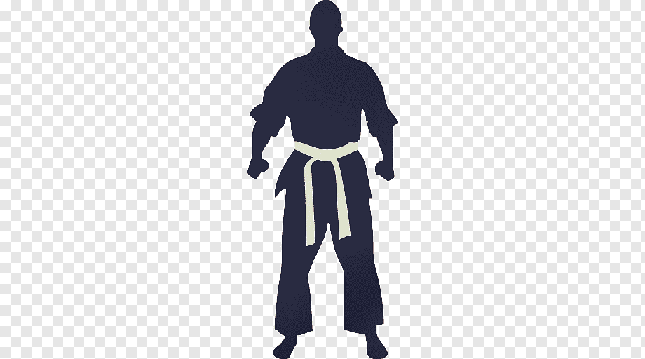 Silhouette of a martial artist in dark gi with white belt, standing in ready stance on transparent background.