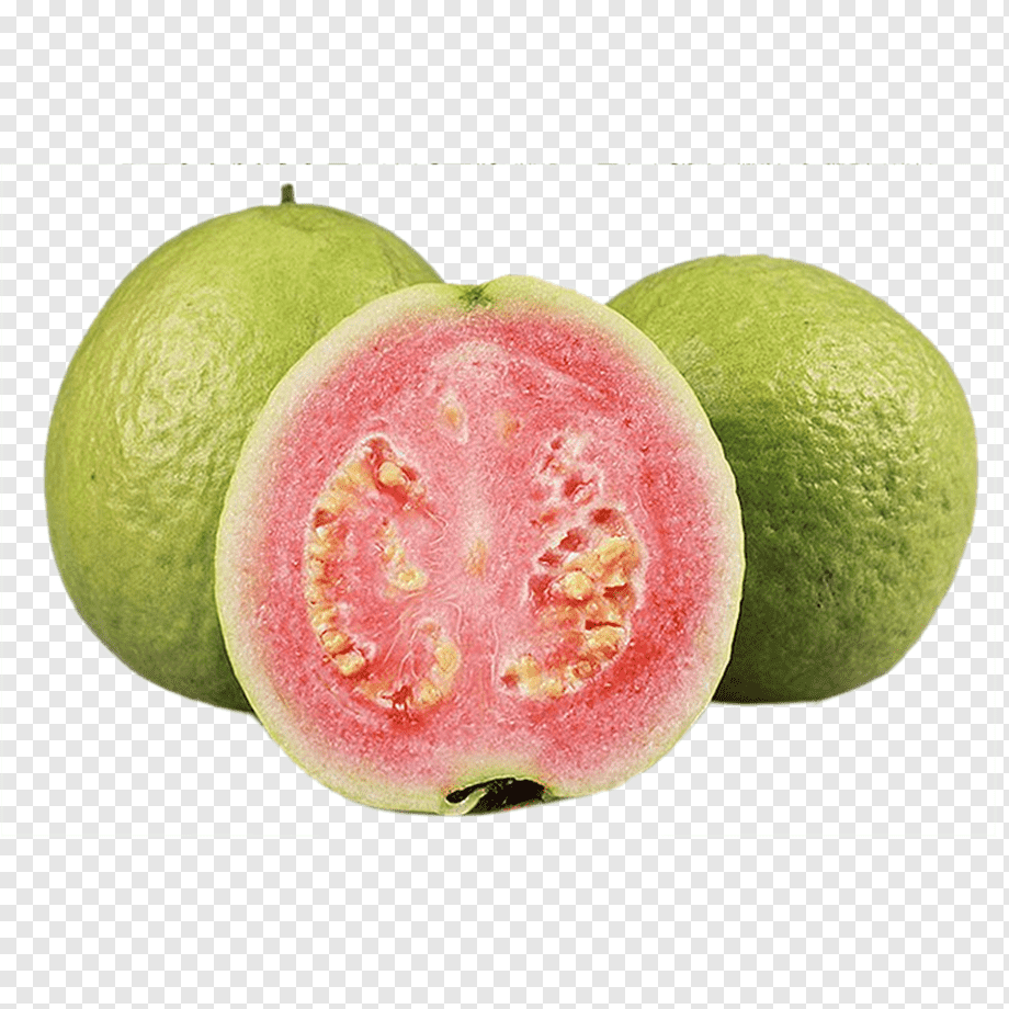 guavas - Clip Art Library