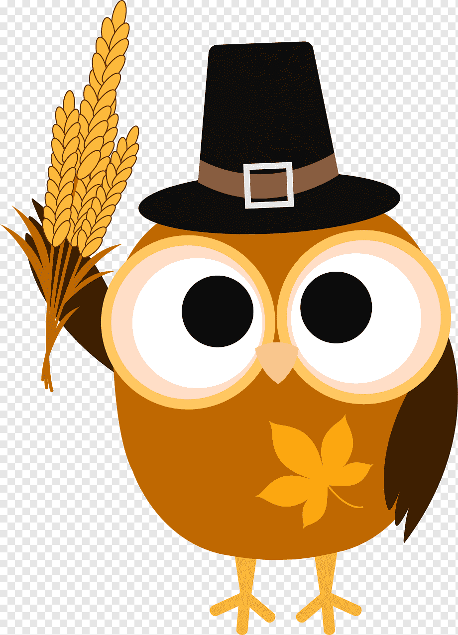 cute thanksgiving owl