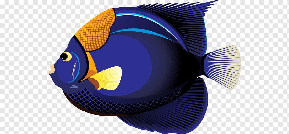 Vibrant blue and orange angelfish illustration with detailed fins and grid-patterned scales on transparent background.