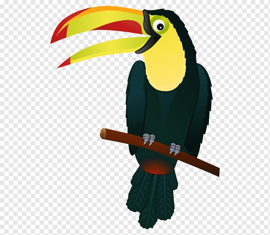 Vibrant Toucan Illustration - Free PNG Clipart for Nature & Education