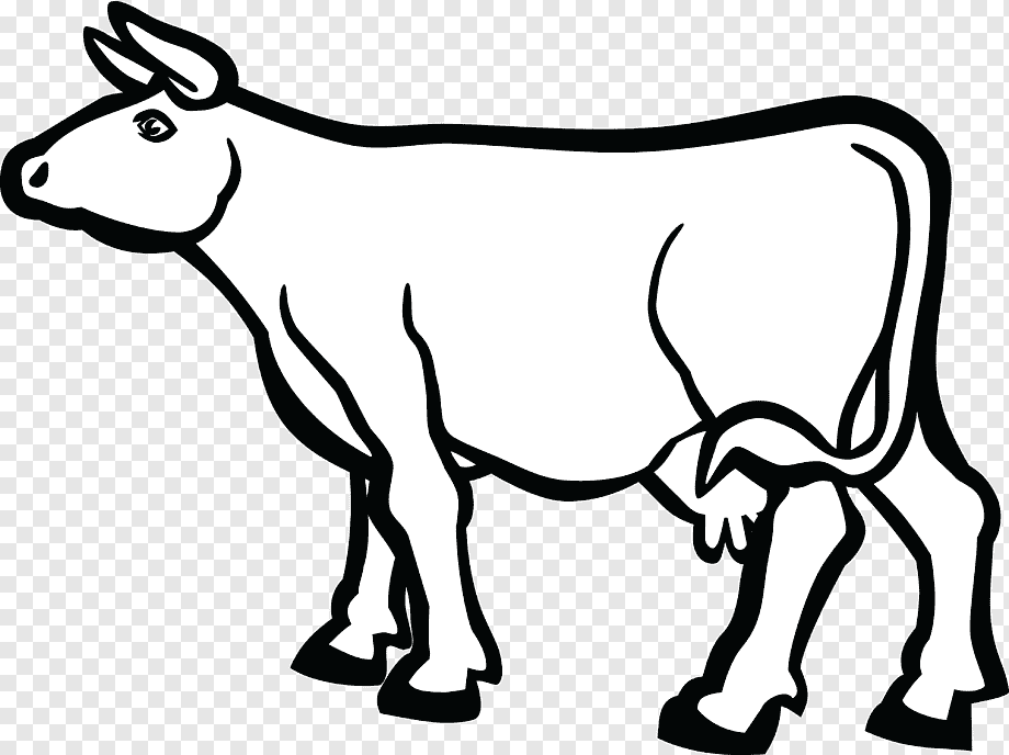Cow Illustration - Simple Line Art for Educational and Design Use