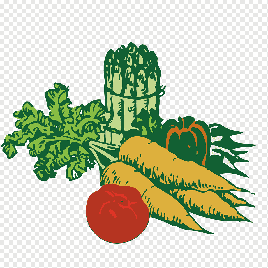Stylized illustration of fresh vegetables including asparagus, carrots, tomato, bell pepper, and leafy greens on transparent background.