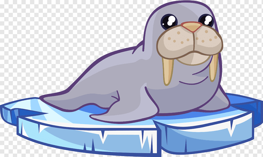 Cute cartoon walrus with large tusks resting on a blue ice floe.