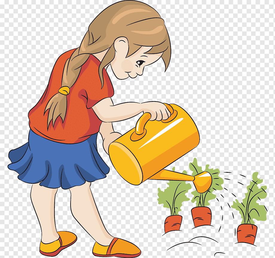 seed plantings
