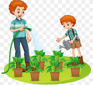 watering plantss - Clip Art Library