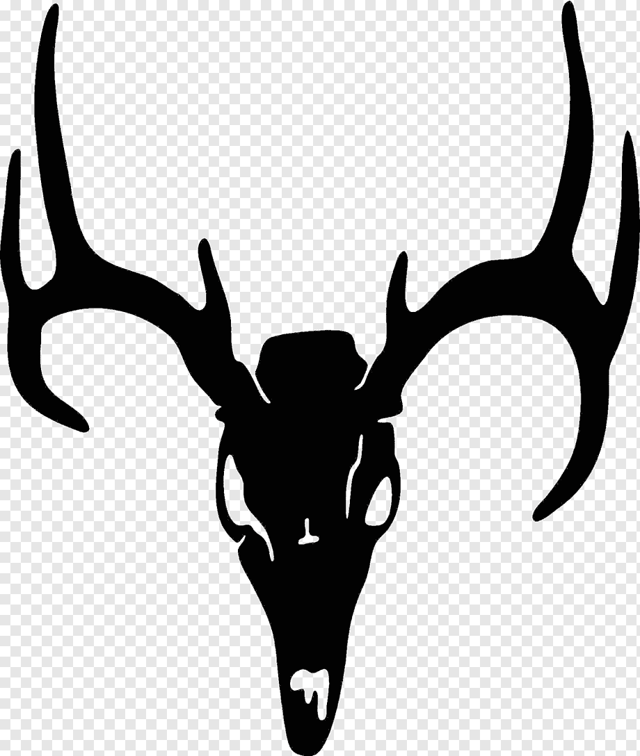 Black silhouette of a deer skull with large antlers on transparent background.