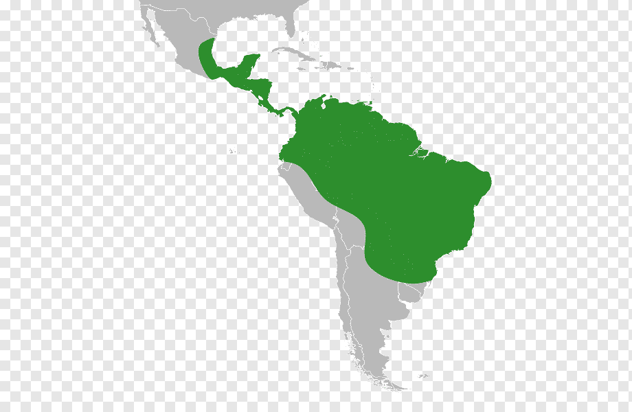 Distribution Map of Neotropical Species Across Central and South America