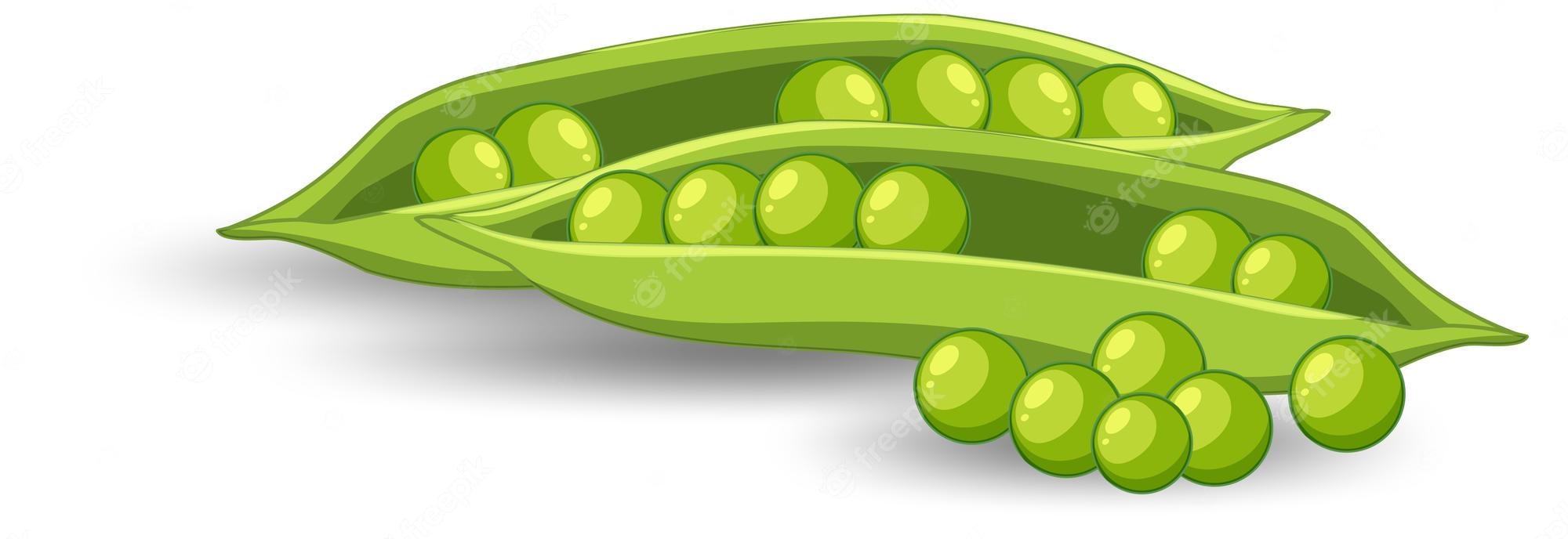 Peas in a pod clip art sweet peas clipart baby babies green vines ...