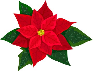 Christmas Poinsettia Clipart Transparent PNG Hd, Christmas Red - Clip ...