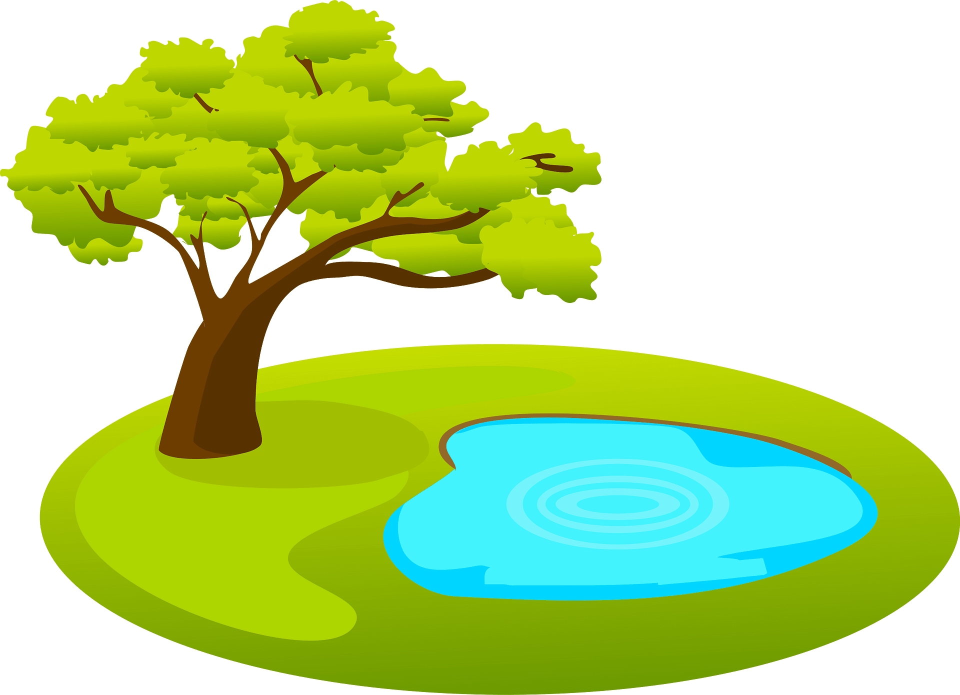 Pond Clipart PNG, Vector, PSD, and Clipart With Transparent Clip Art