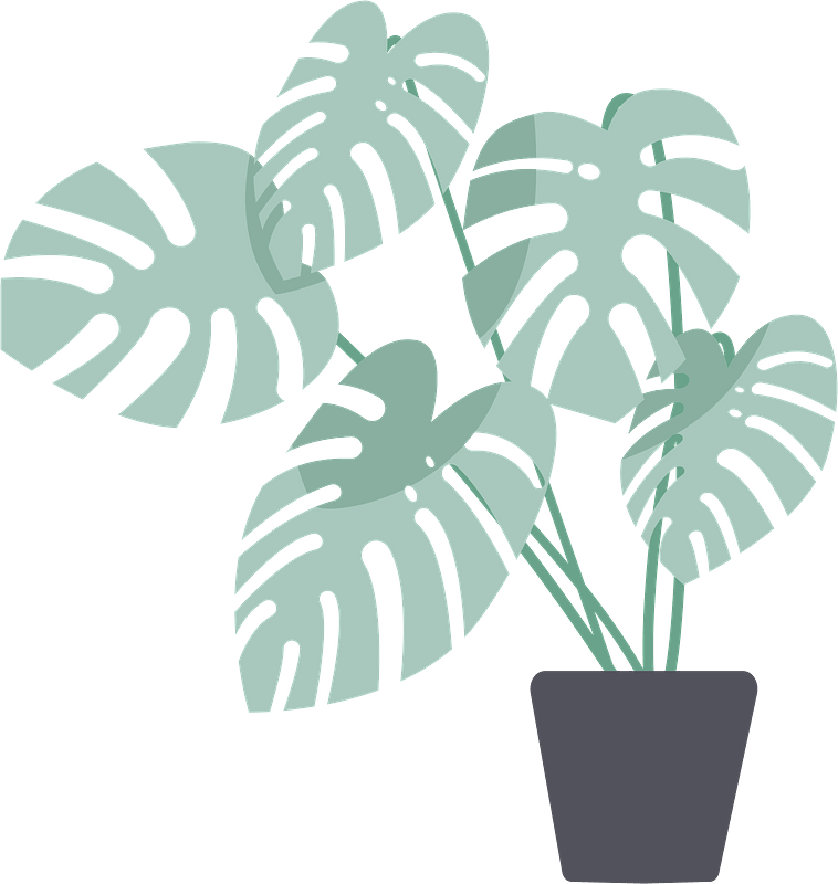 large plants