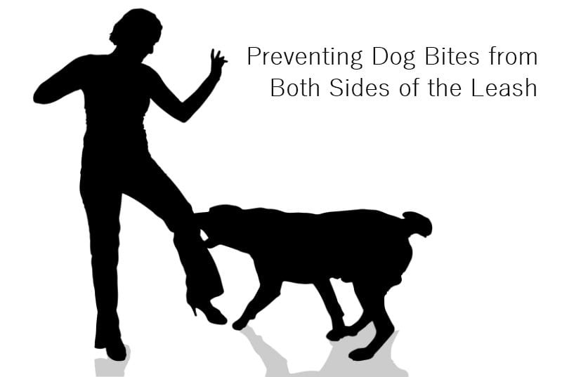 Dog Bite Clip Art, Transparent PNG Clipart Images Free Download - Clip ...