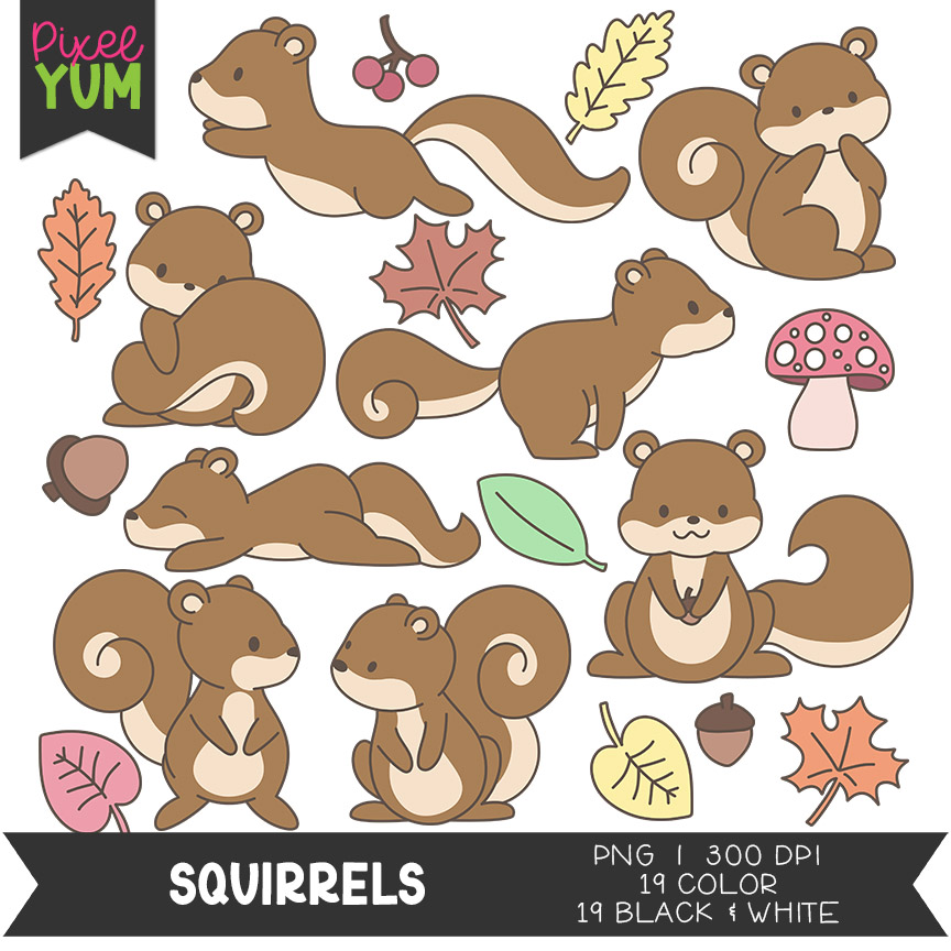 Squirrel PNG - Cartoon Squirrel, Squirrel Clipart Images - Free - Clip ...