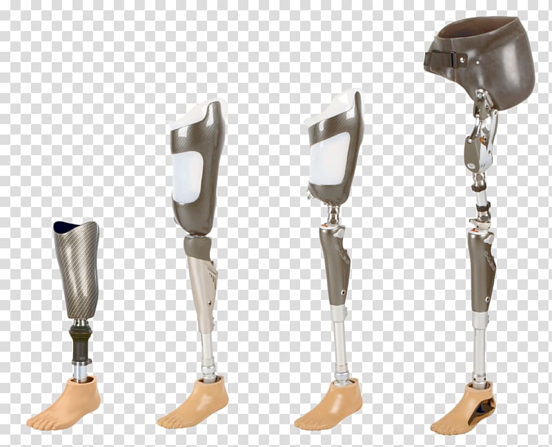 Prosthetic Limbs Stock Illustrations – 197 Prosthetic Limbs Stock 
