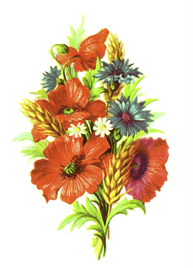 wheat flowers