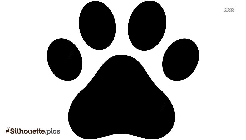 pawss cartoon