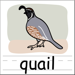 quails