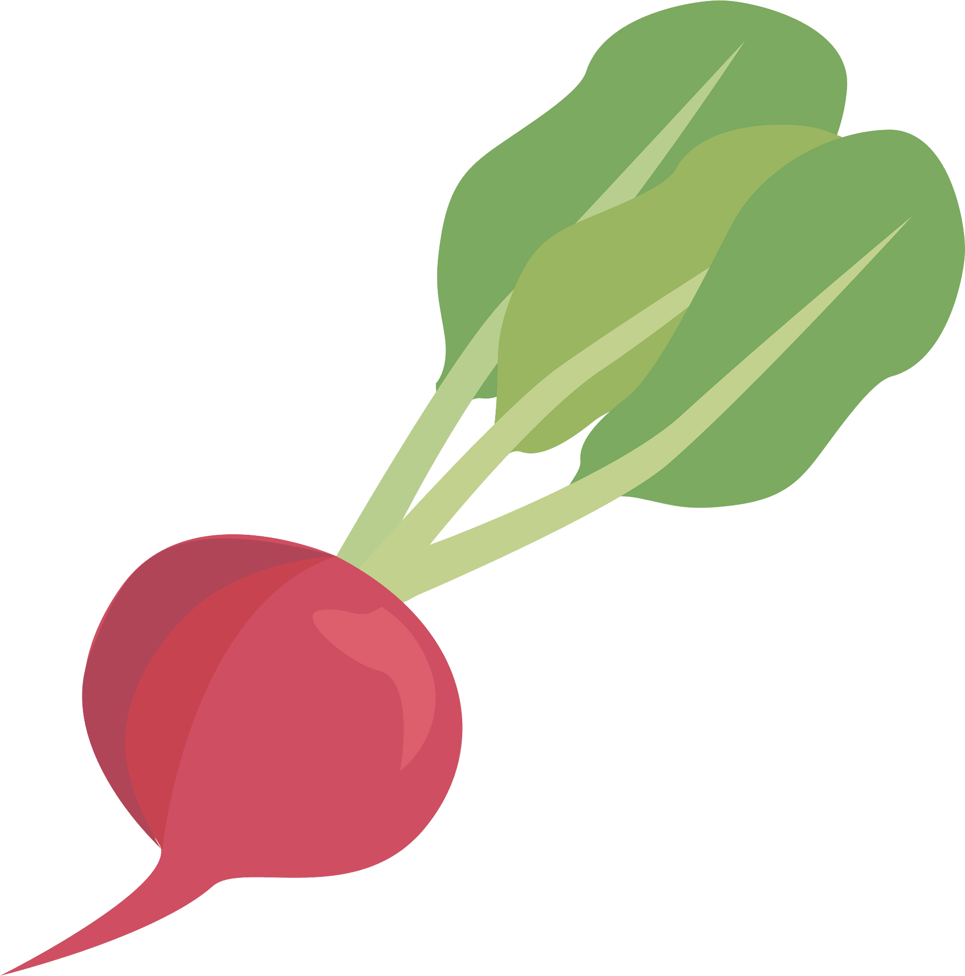 Radish Clipart Images - Free Download on Clipart Library - Clip Art Library