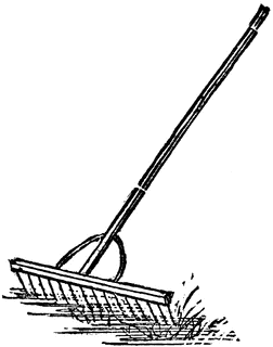 rakes
