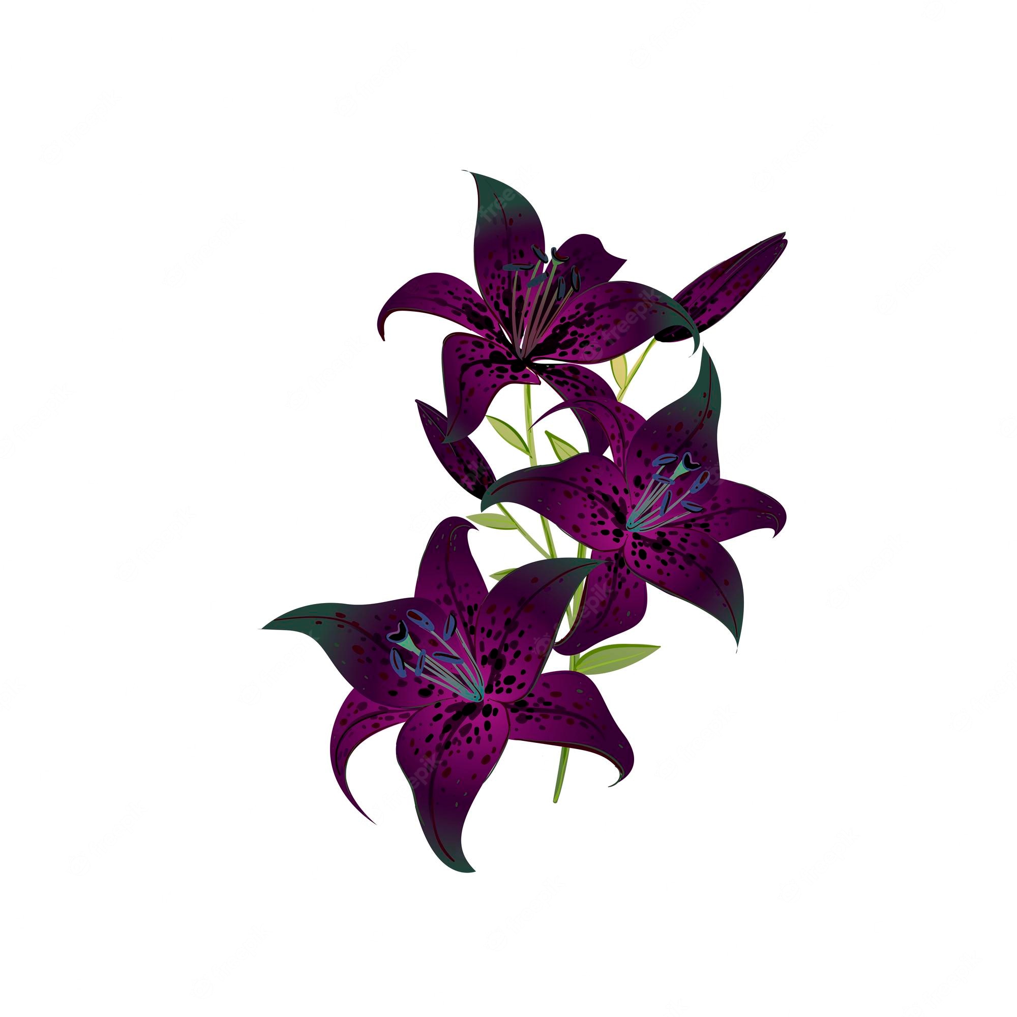 Elegant Purple Speckled Lilies - Botanical Illustration for Design & Print