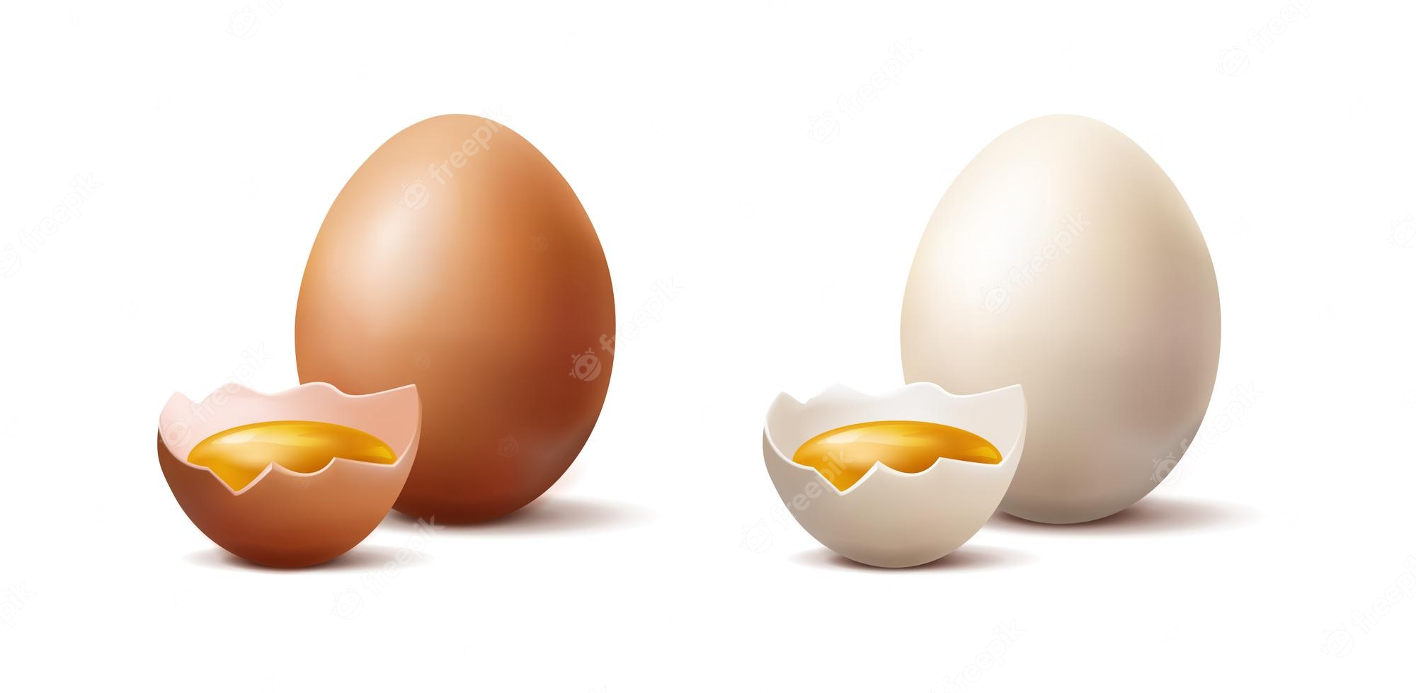 Brown eggs Illustrations and Stock Art. 10,788 Brown eggs - Clip Art ...