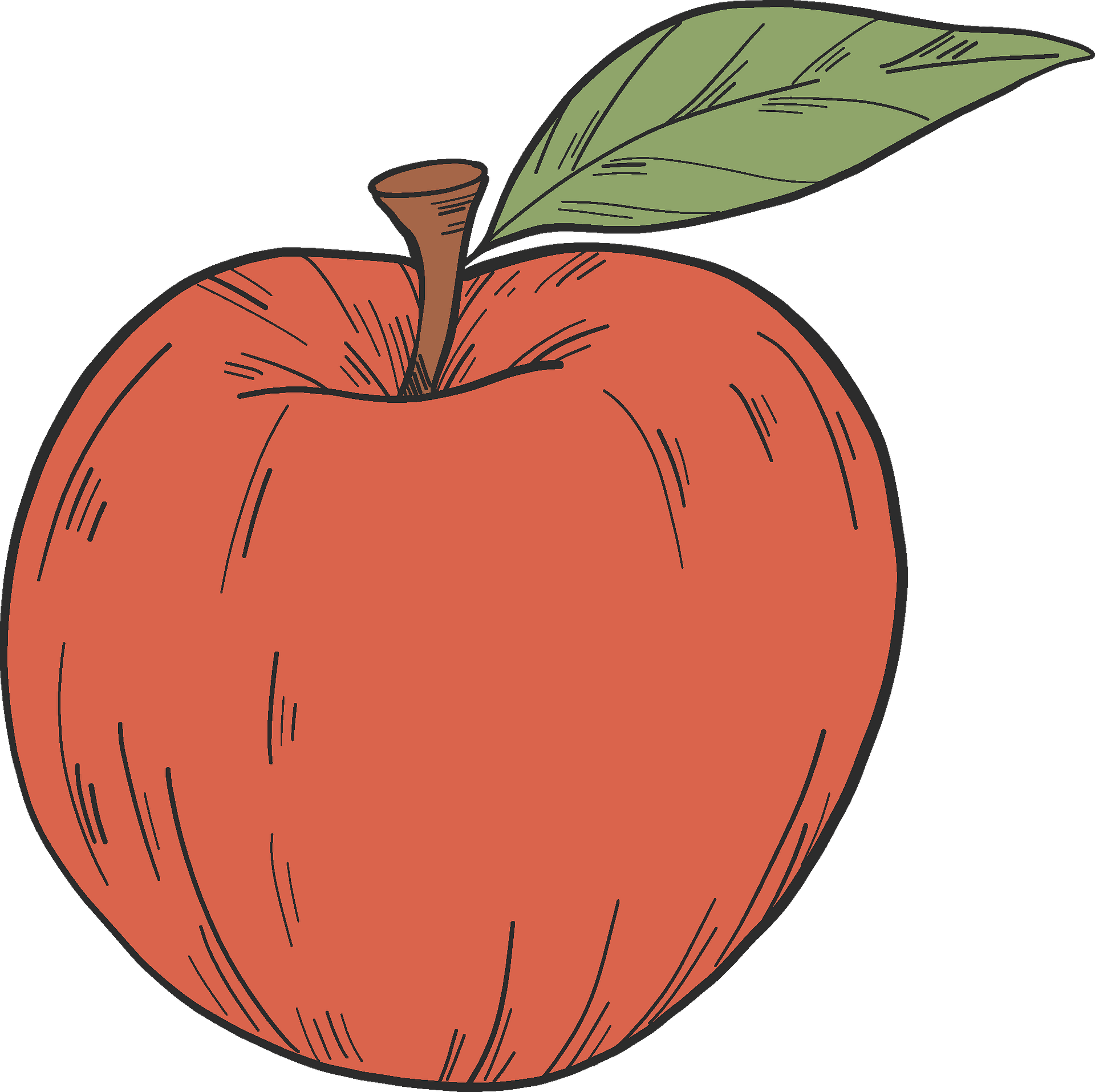 Apple Clip Art 