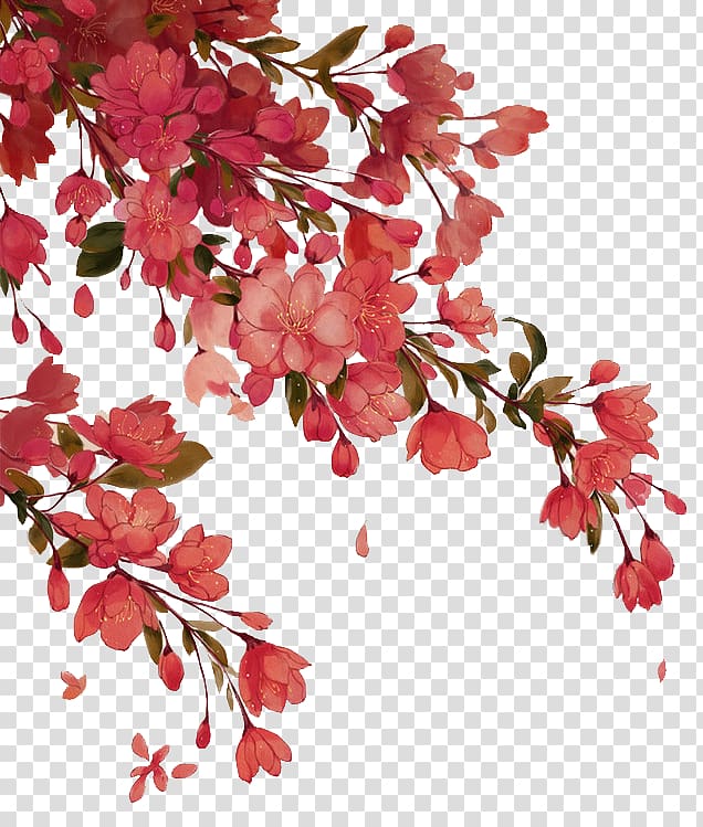 Watercolor illustration of vibrant pink cherry blossoms with green leaves on transparent background.