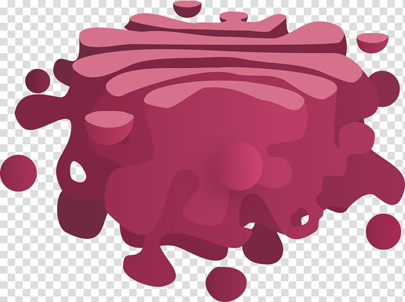 golgi apparatuss