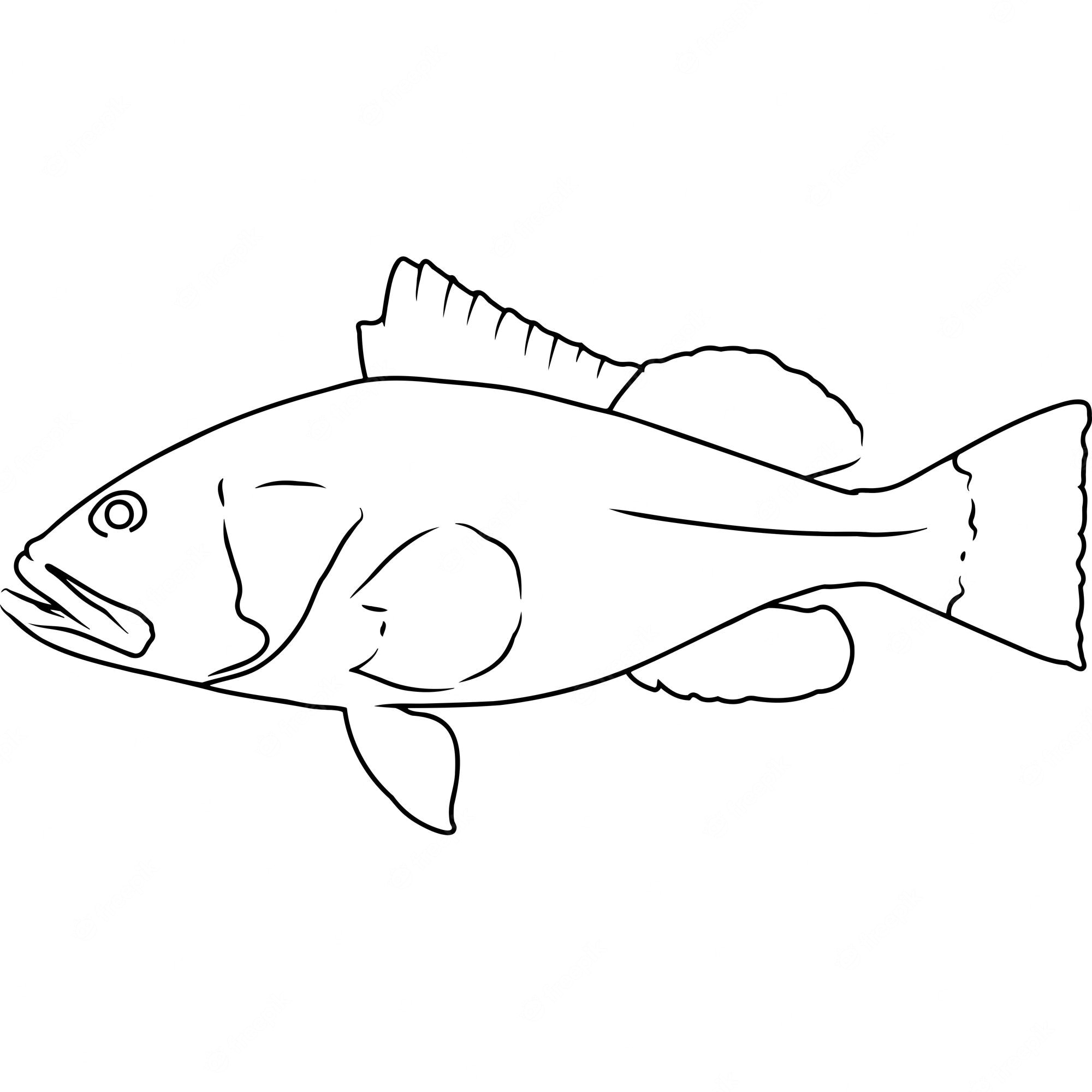 groupers - Clip Art Library