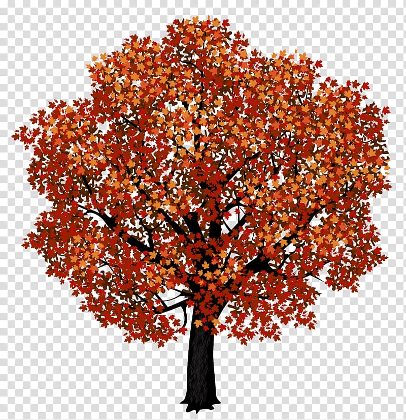 Vibrant autumn maple tree with red, orange, and yellow leaves against transparent background.