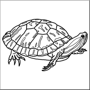 Line drawing of a turtle with detailed shell pattern and extended limbs, facing right.
