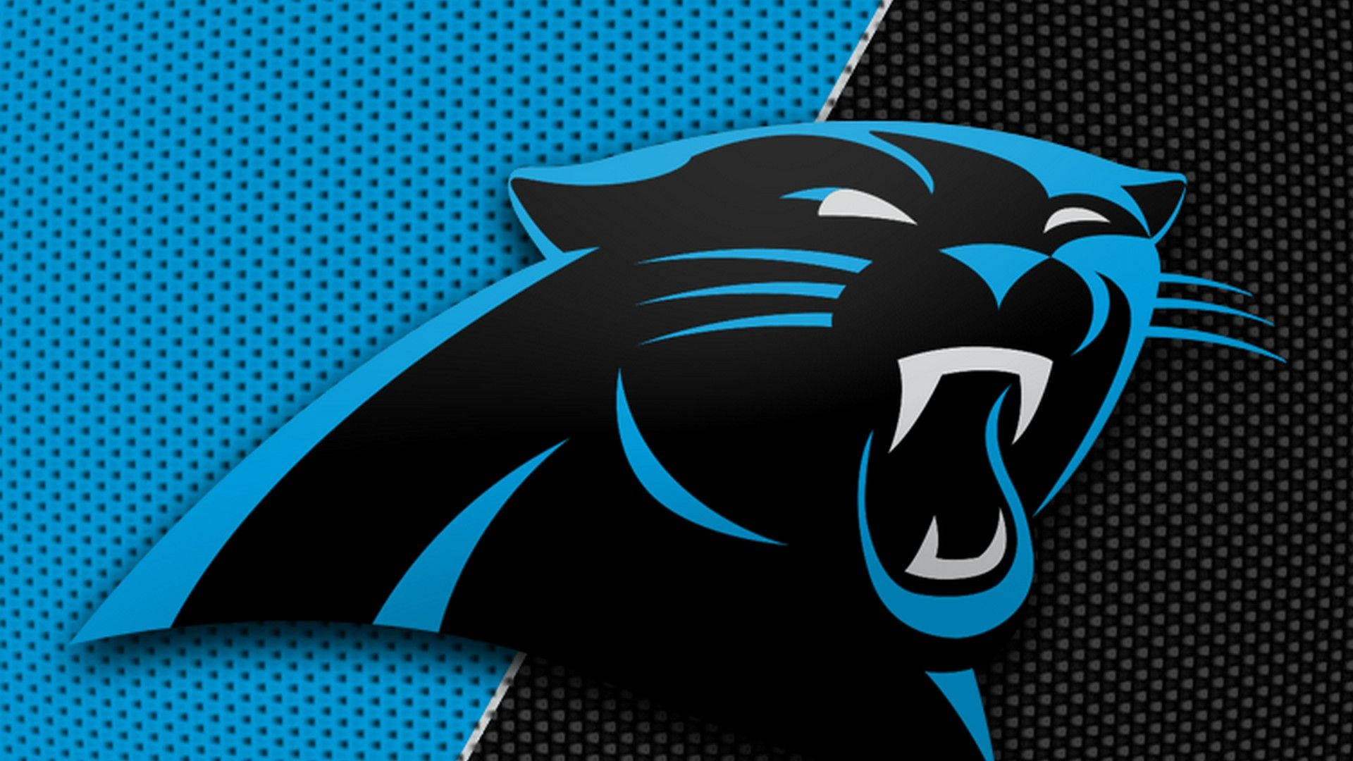 Carolina Panthers Logo - Official Team Emblem & Brand Identity