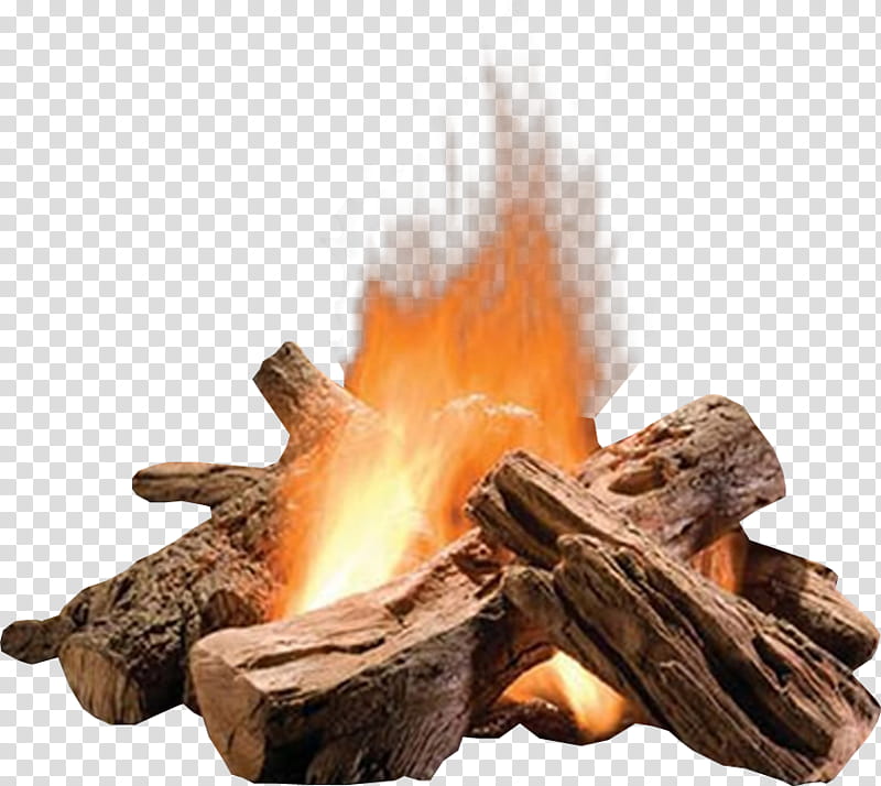 Realistic Campfire Image for Websites and Design Projects