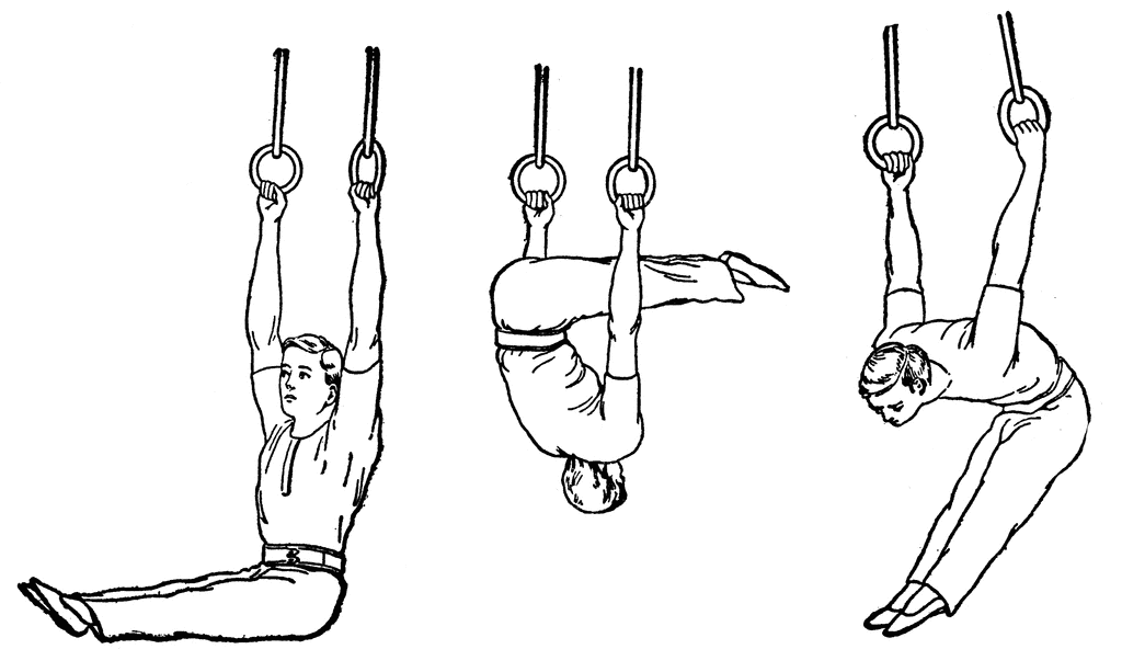 Gymnastic Rings Exercise Progression Diagram - Beginner to Intermediate Moves