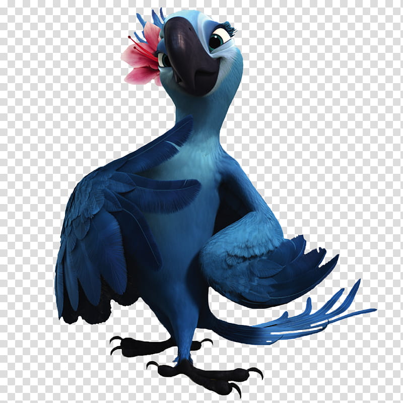 Blue animated macaw with pink flower on head, cheerful expression, wings slightly spread.