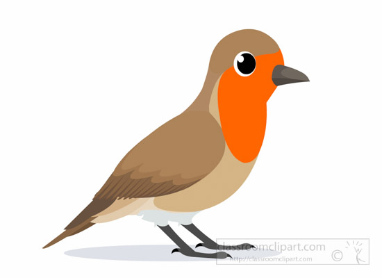 Illustration of a European robin with orange breast, brown wings, and black beak on white background.