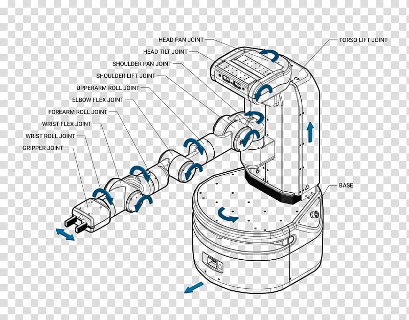 Free Vector Diagram Showing Shoulder Bone Clip Art Library