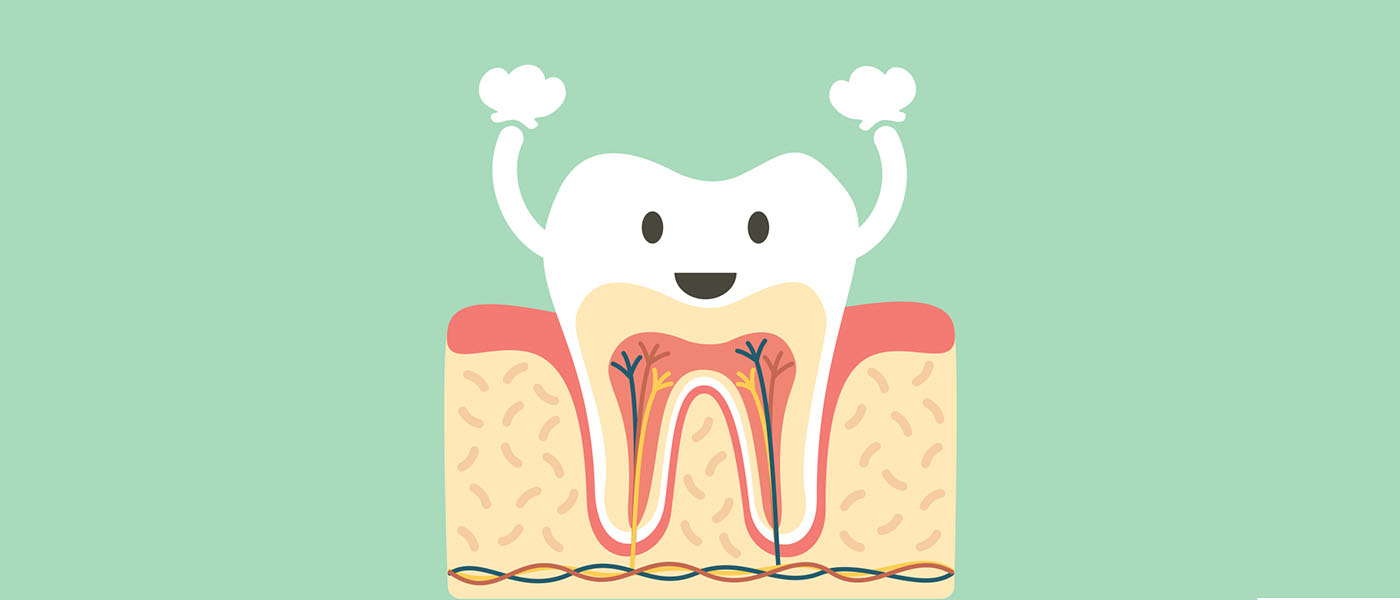 Illustration of a molar tooth with visible roots and pulp canals on a navy blue circular background.