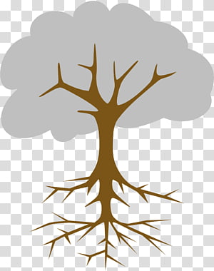 Stylized brown tree with visible roots and gray cloud-like canopy on transparent background.