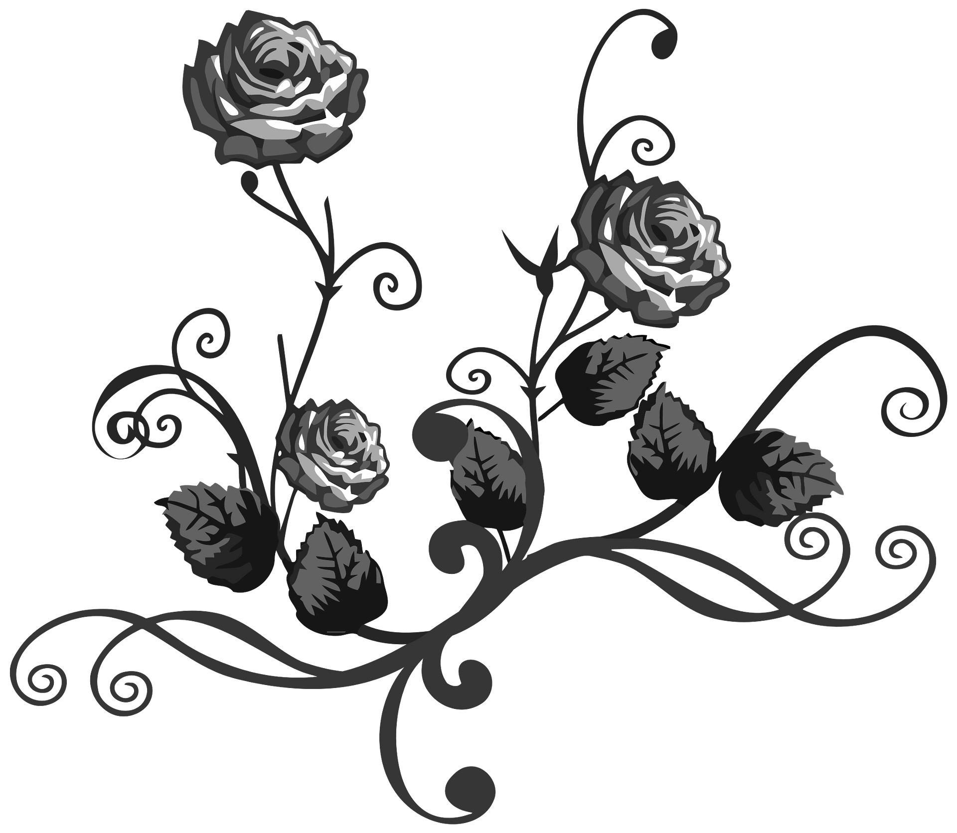 Elegant Rose Vine Illustration - Decorative Floral Design for Web & Print