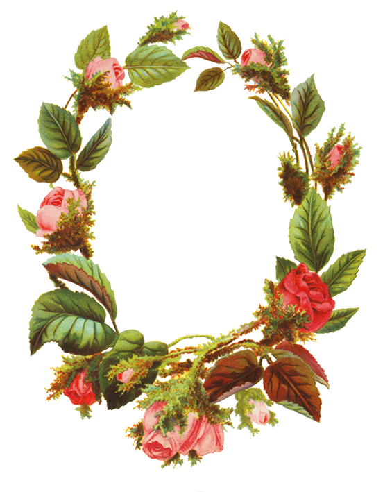 Vintage Rose Wreath Illustration - Botanical Art for Design & Decor