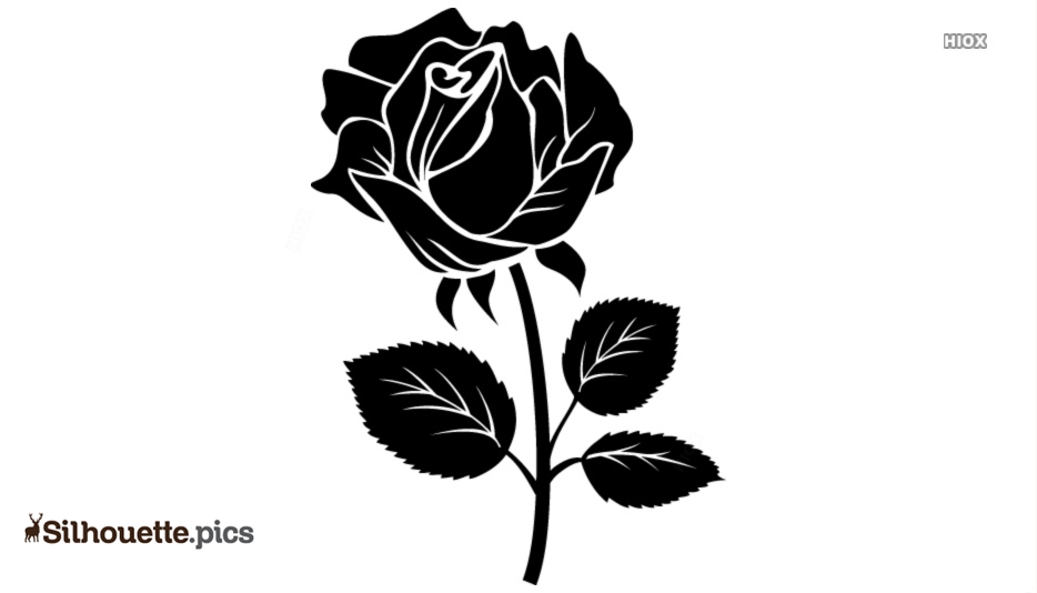 Silhouette Rose Frame Royalty Free SVG, Cliparts, Vectors, and Stock  Illustration. Image 14030827.