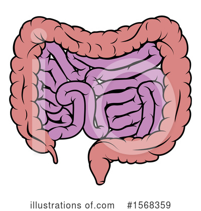 Large Intestine Gastrointestinal Tract Vector Graphics Clip Art - Clip ...