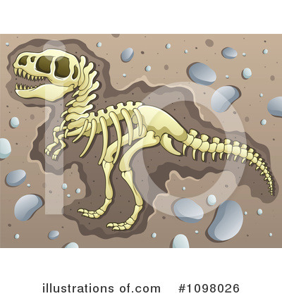 Fossilized Tyrannosaurus rex skeleton partially embedded in sandy sediment with scattered pebbles.