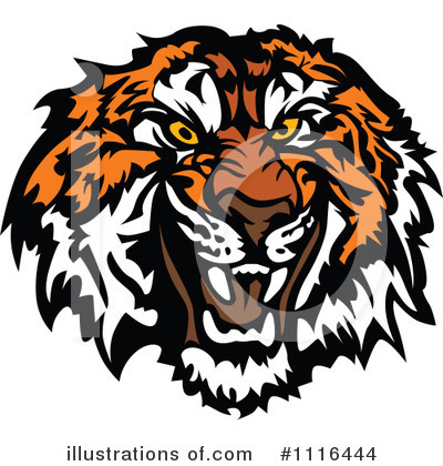 Fierce tiger head mascot illustration with orange stripes, bared teeth, and intense yellow eyes on white background.