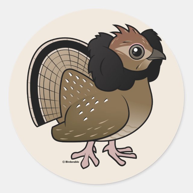 Quail Illustration - Cute Bird Art for Nature Lovers & Educators