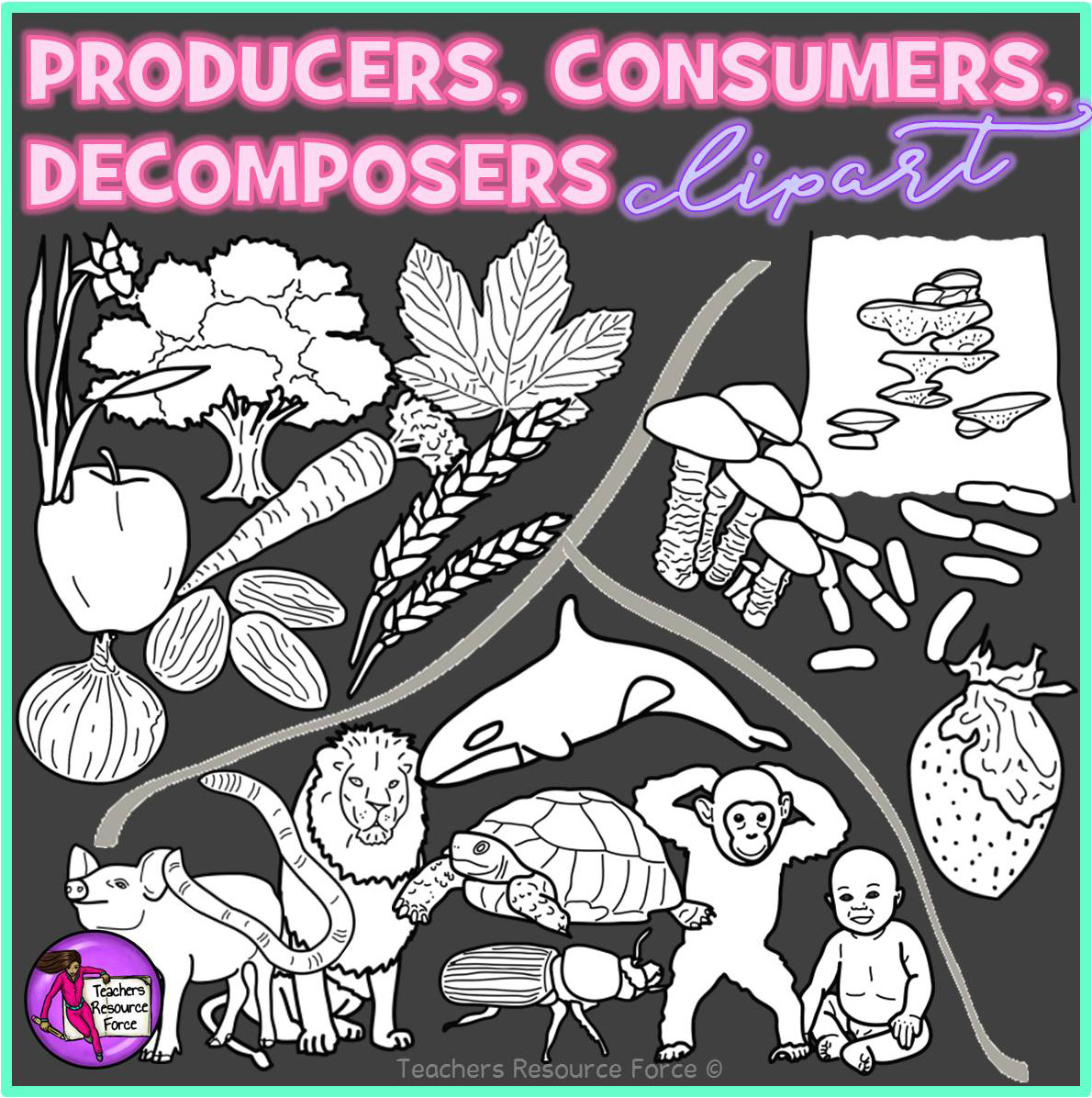 Black-and-white educational clipart showing producers (plants), consumers (animals, humans), and decomposers (fungi, bacteria) in a food web.